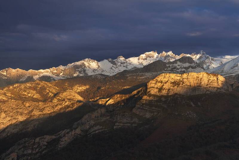 Romulus фото превью