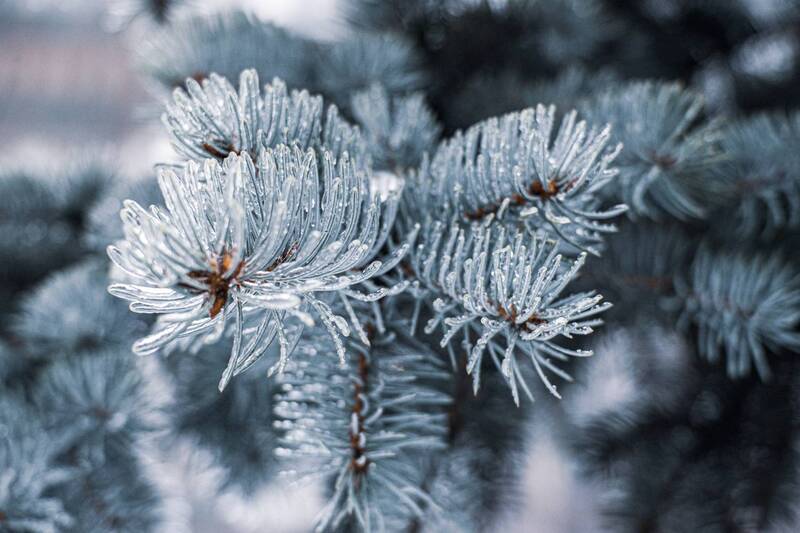 Nature фото превью