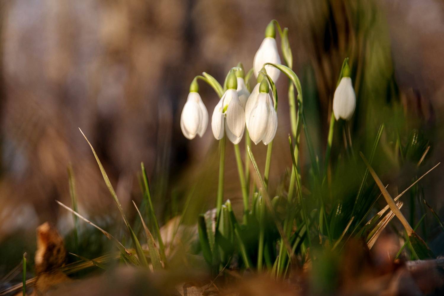 крым, Добролюбова Тамара