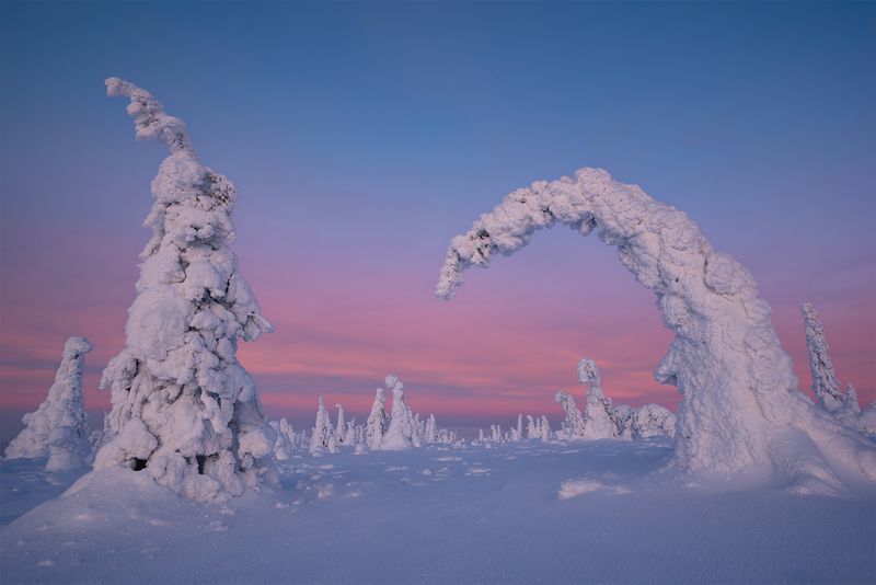 Monsters Parade (Yes, Dear) фото превью