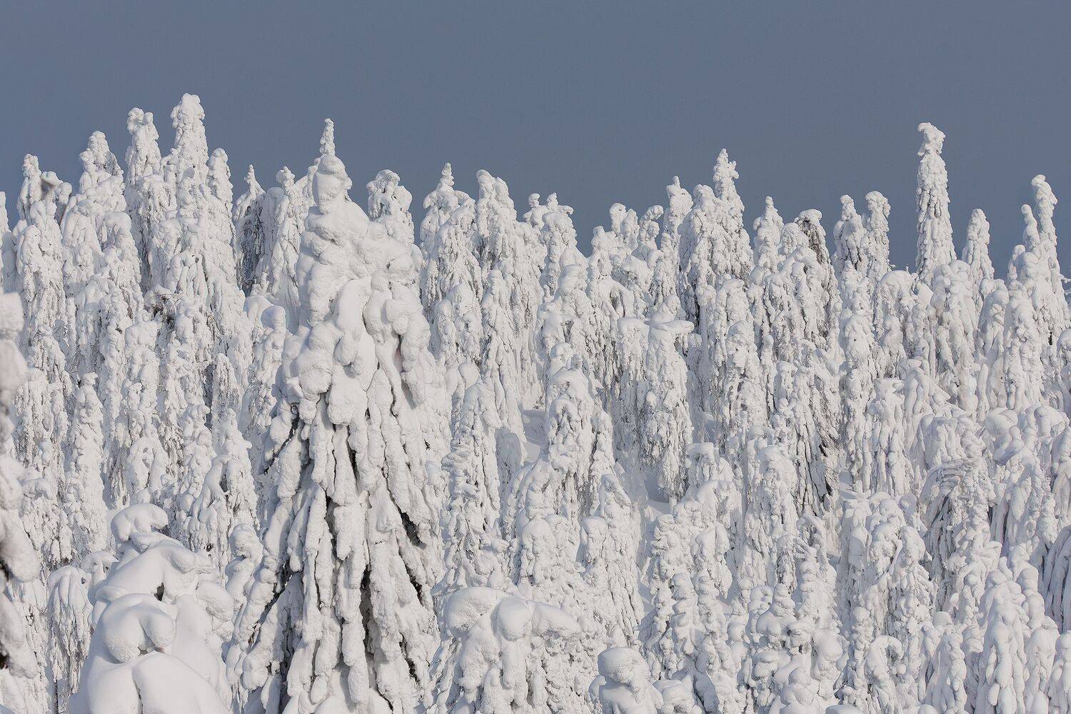 Урал, Полюд, Зима, Кочкин Владимир