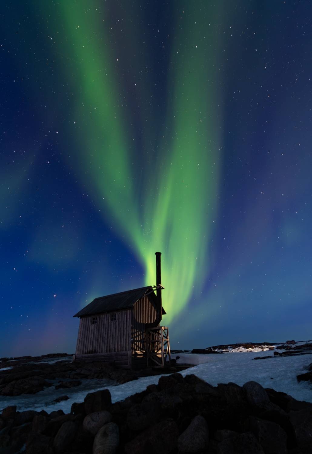 , Васильева Дарья
