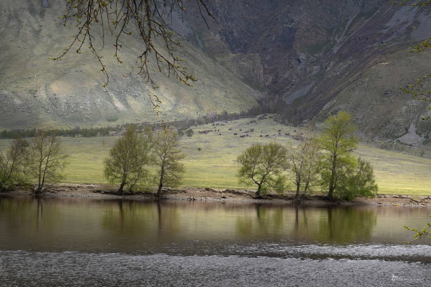 , Крат Светлана