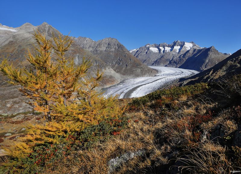 swiss Безоблачная Осень фото превью