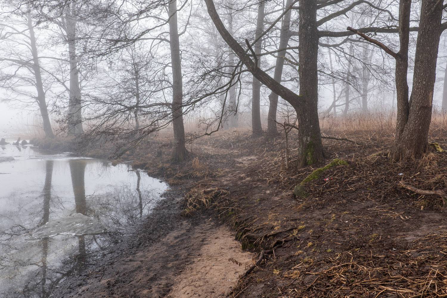 , Гордон Николай