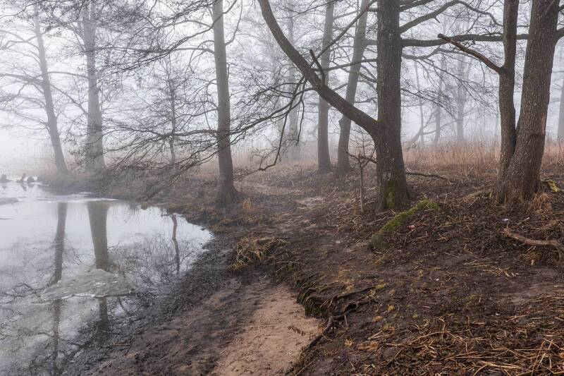 Туманная весна фото превью
