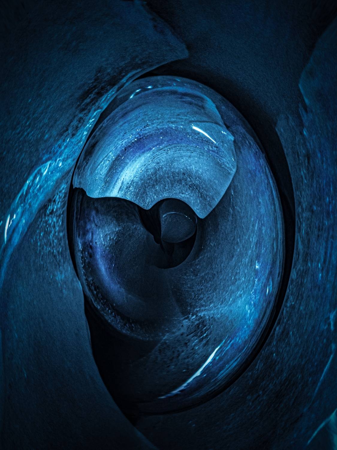 , Елена Литовская