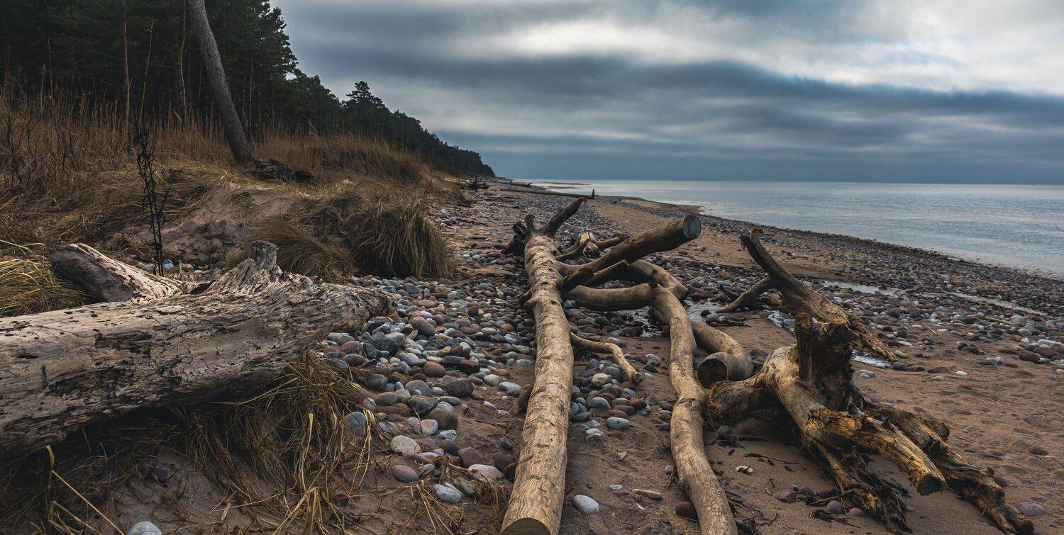 jūra, ūdens, koki, krasts, mežs, oļi, noskaņa, zils, Cielava Dace