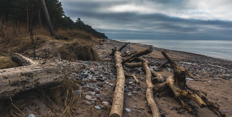 jūra, ūdens, koki, krasts, mežs, oļi, noskaņa, zils Jūras krasts фото превью