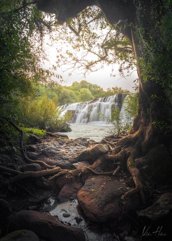 Portal фото превью