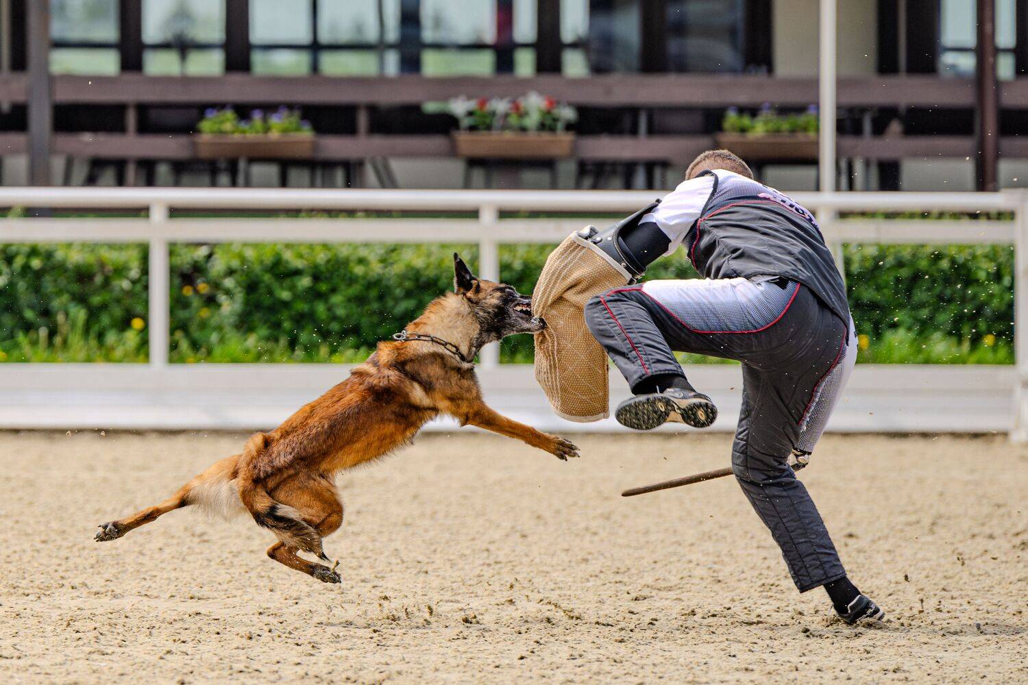, Сергей Жиркевич