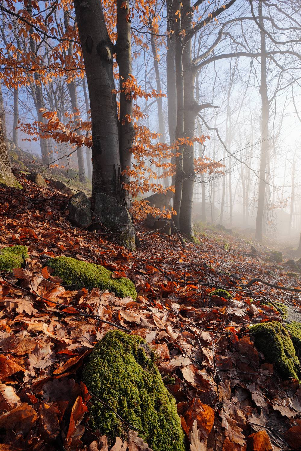 , Любослав Любомиров