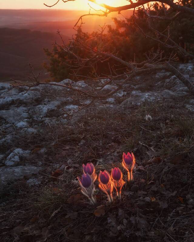 Провожая закат. фото превью