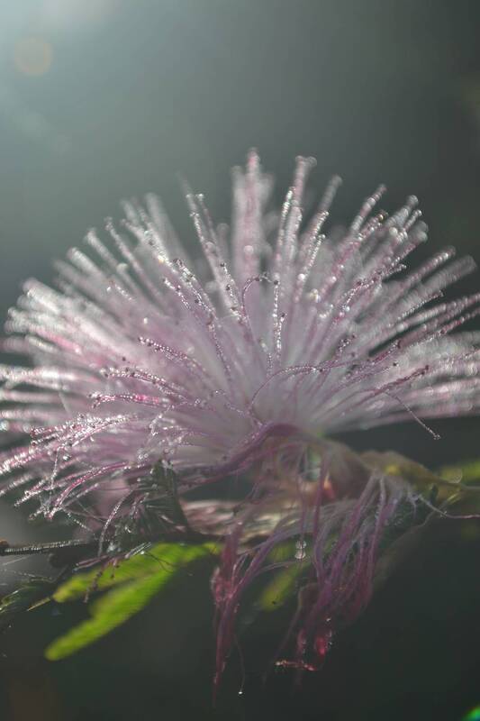 ялюблюфотографировать. Я люблю фотографировать. фото превью