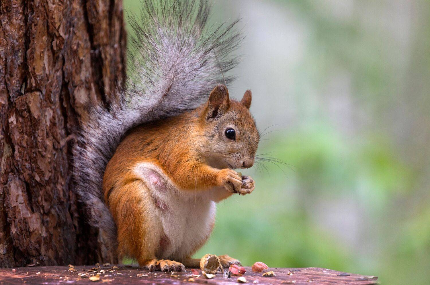 , Ушаков Валерий