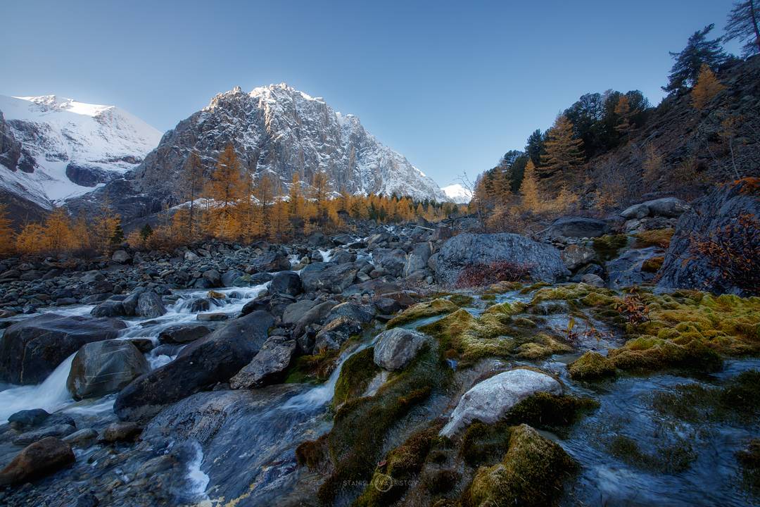 , Станислав Аристов