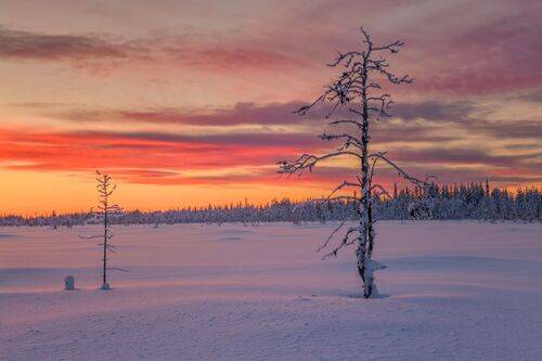 Двое...и еще немного...