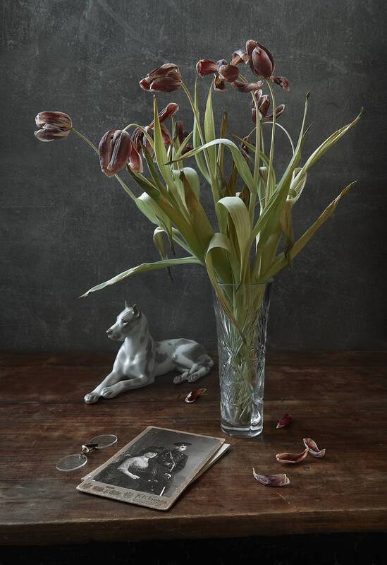 ... фото превью