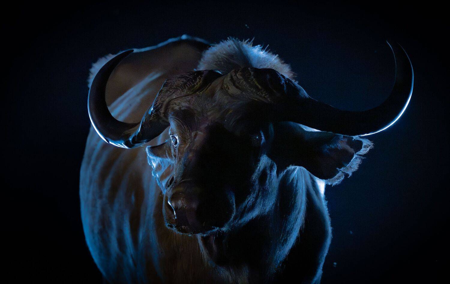 Кения, Сулоев Алексей