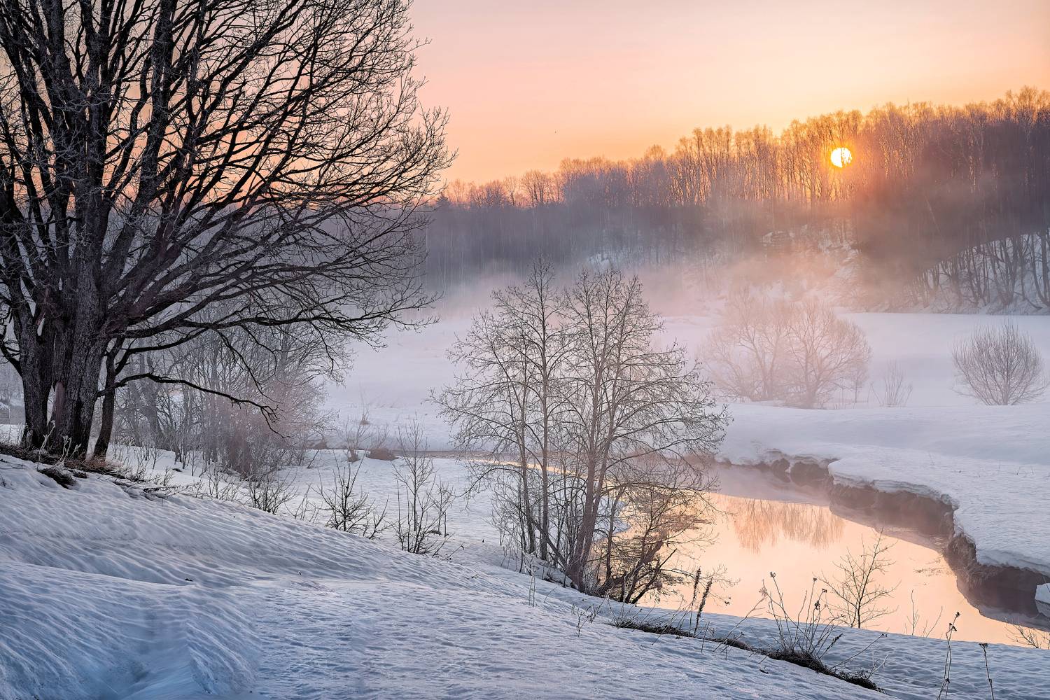 , Евгений Ерохин