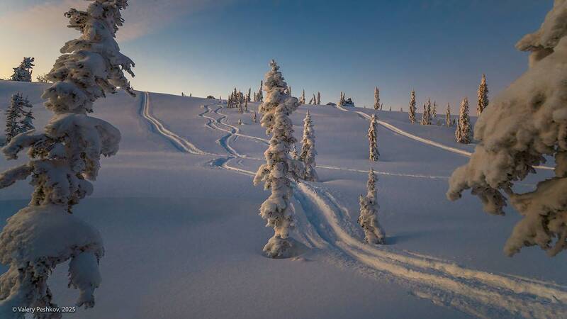 шерегеш, снег, иней, надувы, пихты, кедры, гора курган, горная шория, мороз, зима, сибирь Дорога к дому (2) фото превью