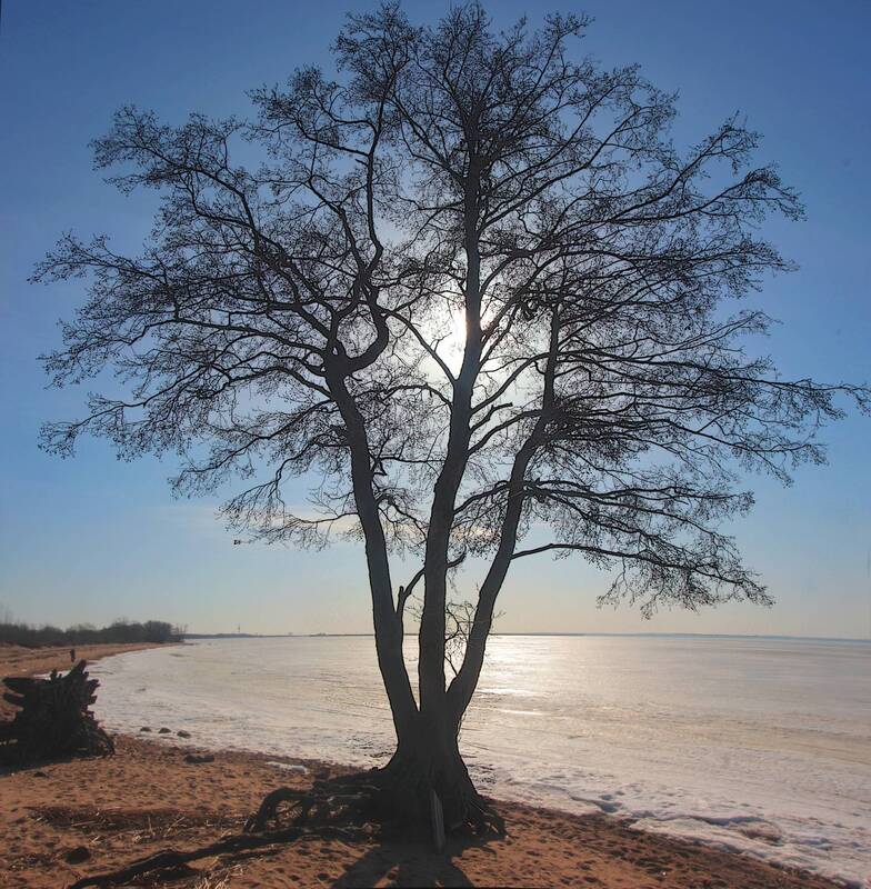 *** фото превью