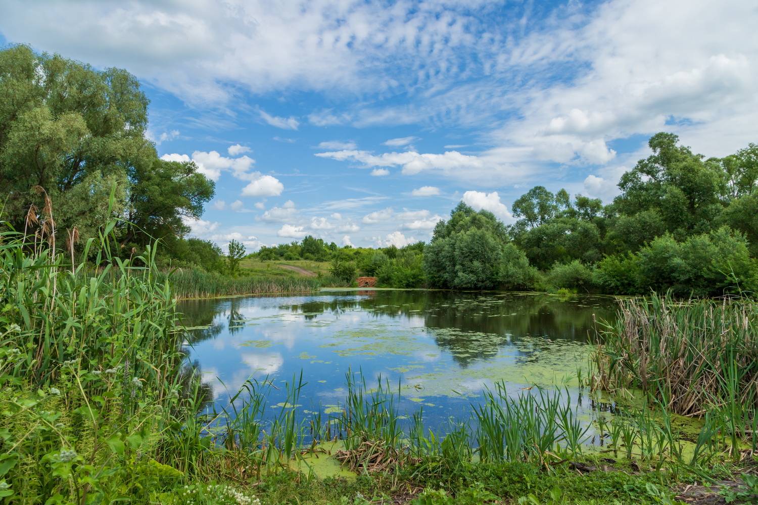 , Юрий Морозов