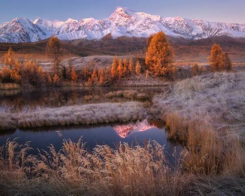 Цвет утренних сумерек