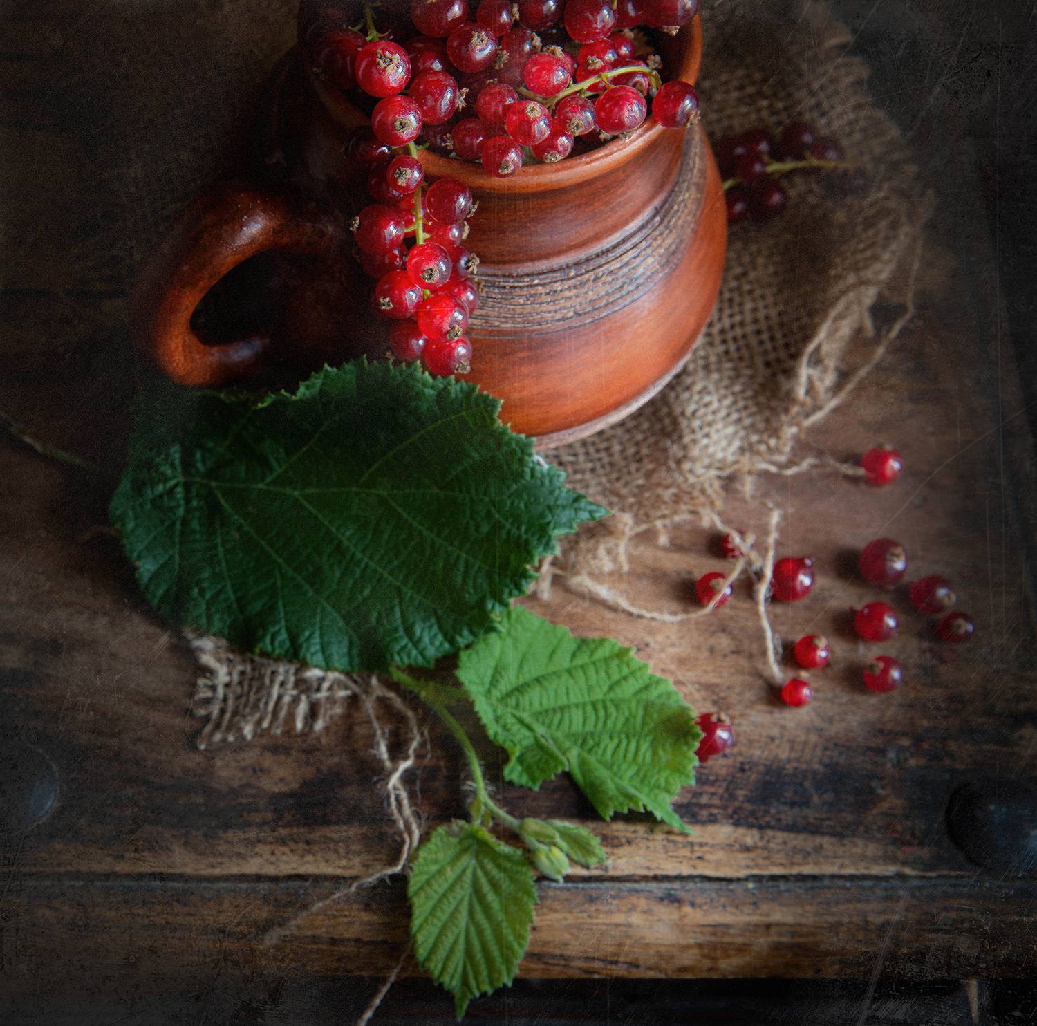 , Gasiorowski Wladyslaw