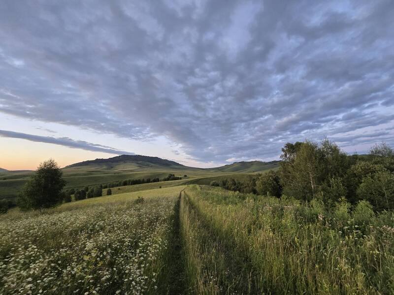 portfolio  фото превью