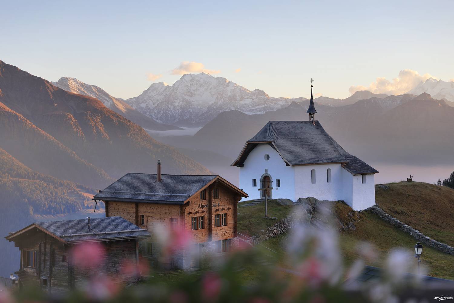 swiss, Матвеев Николай