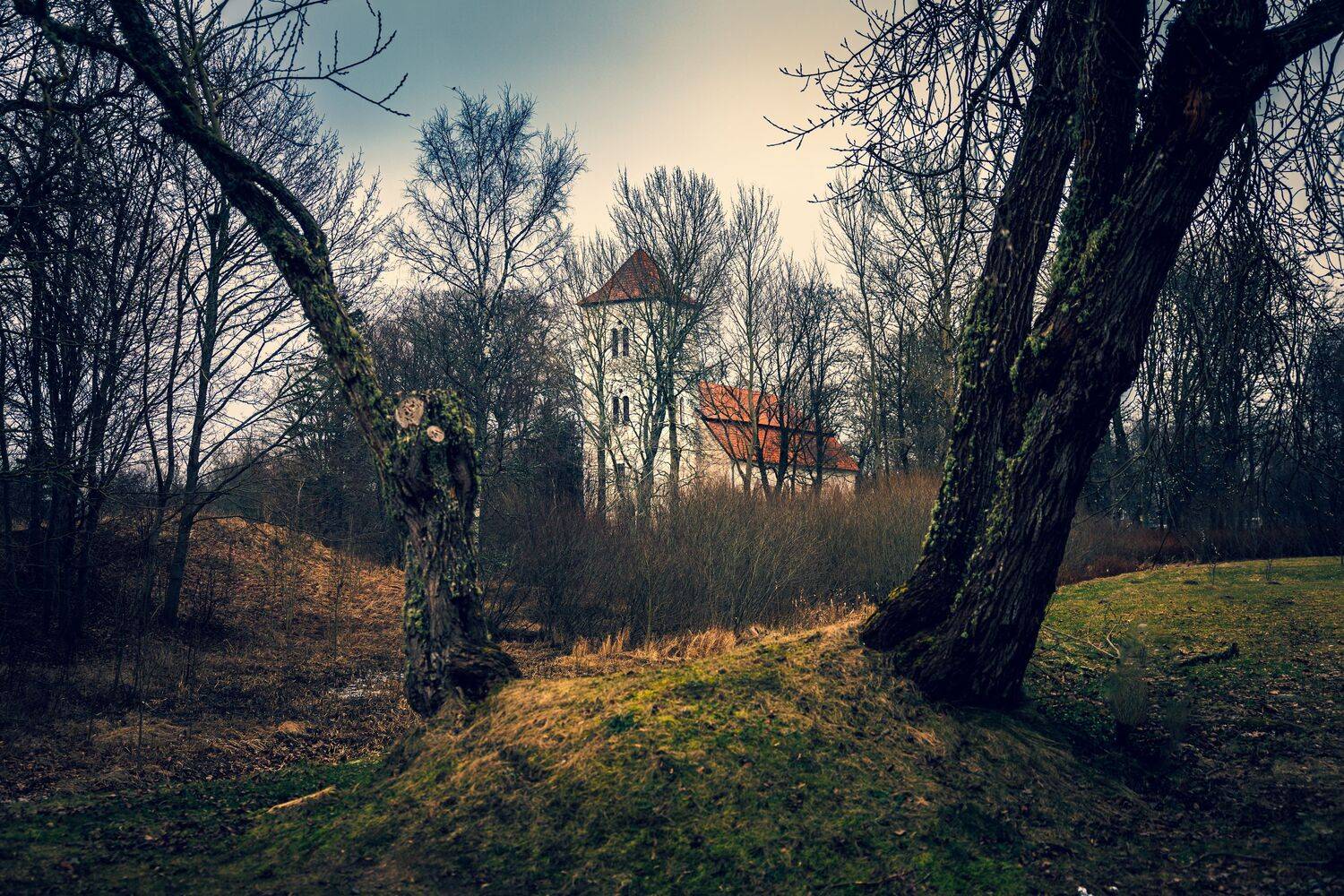 ainava, arhitektūra, baznīca, koki, Cielava Dace