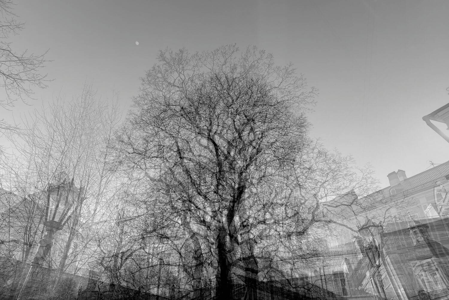 , Антон Лаба