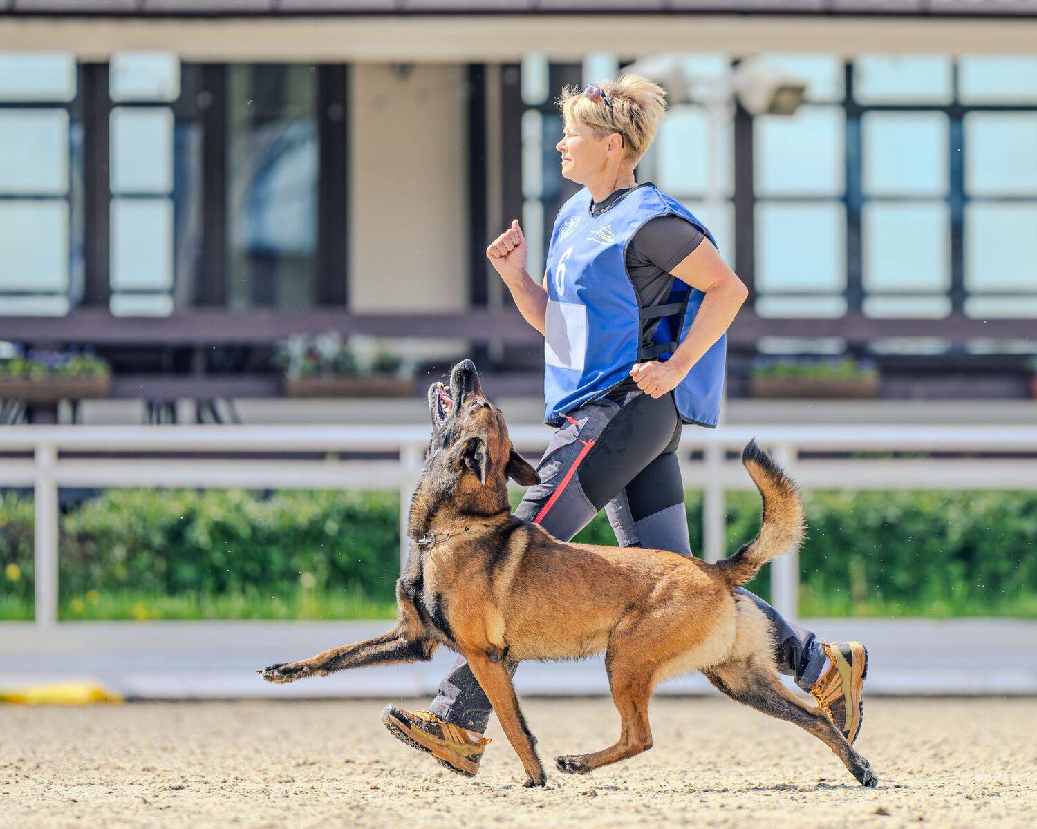 , Сергей Жиркевич