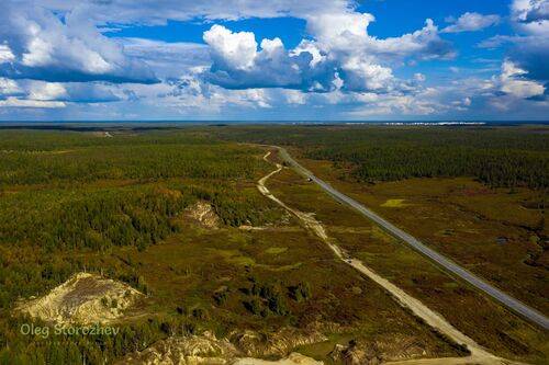 Дорога домой