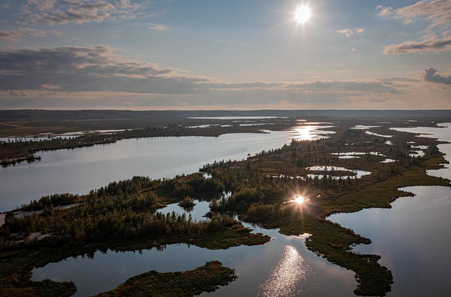 отражение, пейзаж, болото, янао, надым, вода, Сторожев Олег