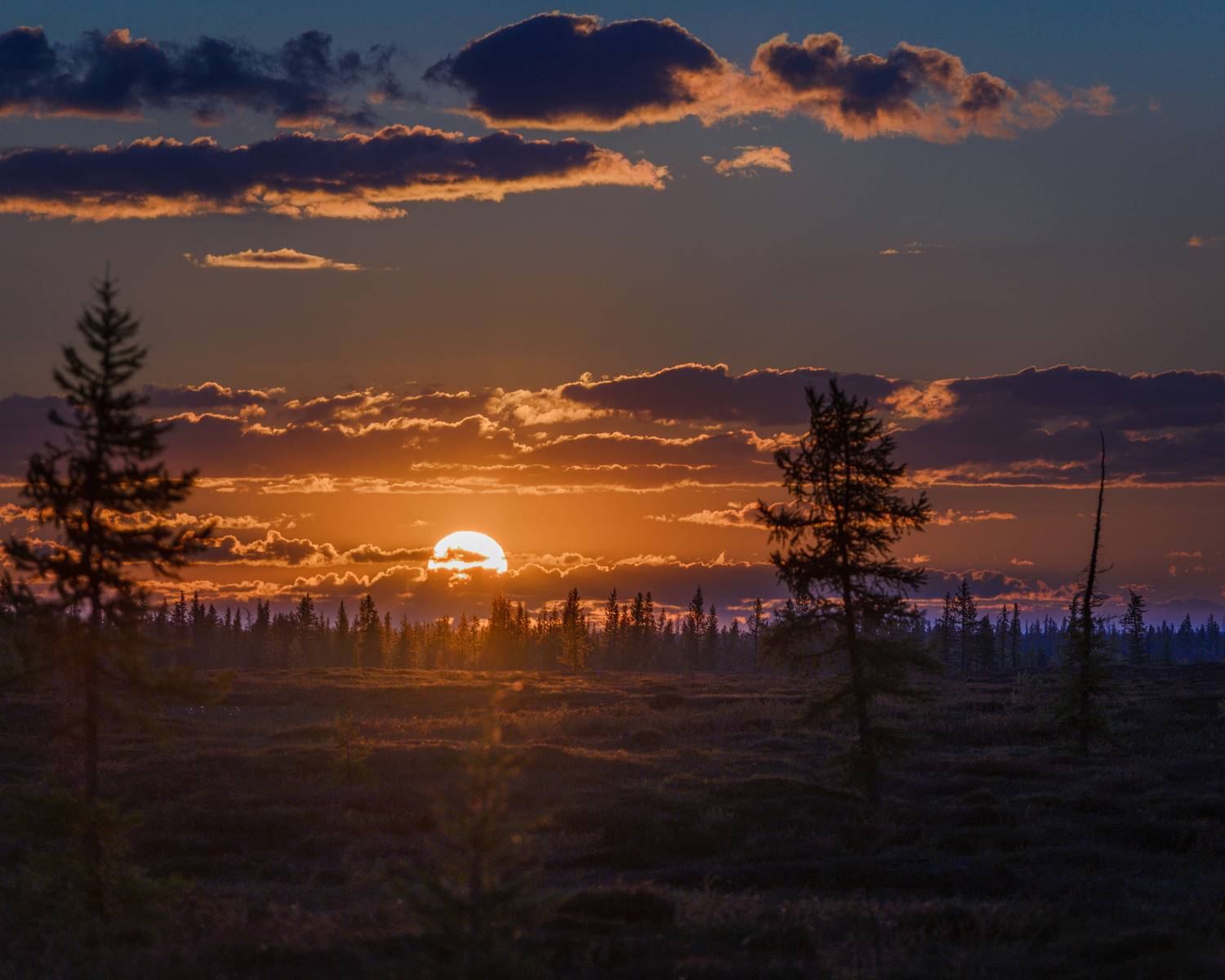 , Сторожев Олег