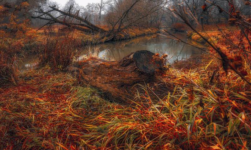 Love фото превью