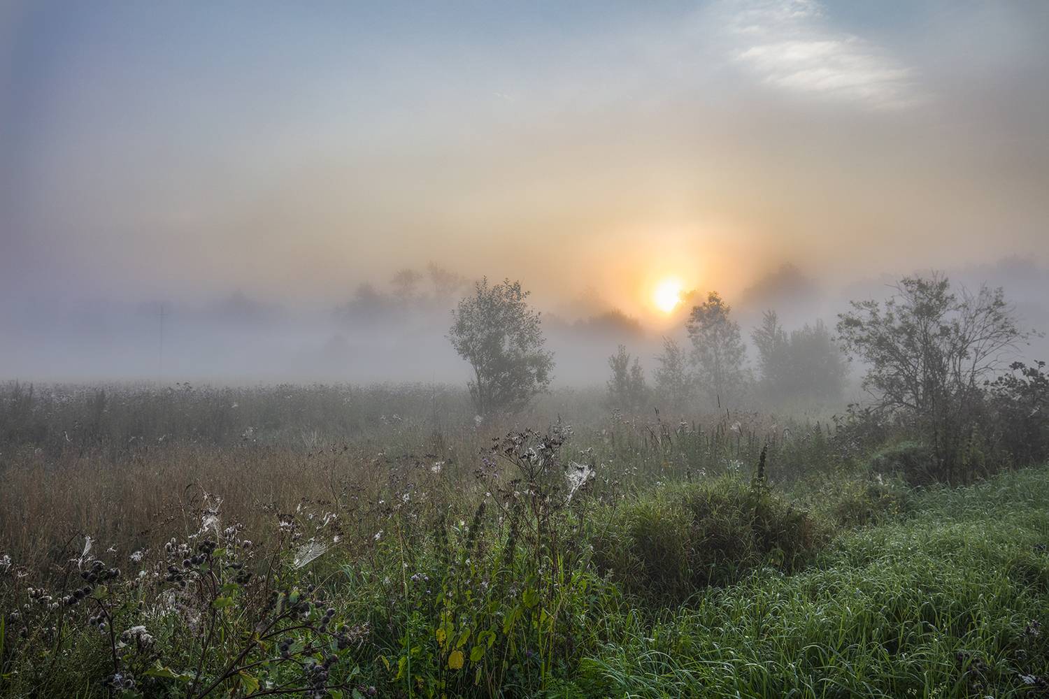 , Aleksandr Mihailov
