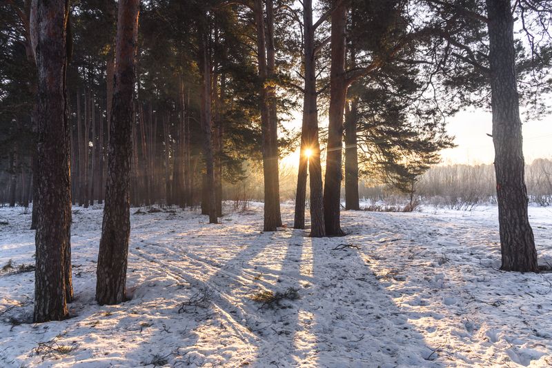 Линии света фото превью