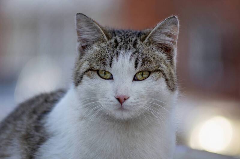 «Мисс Симметрия»! фото превью