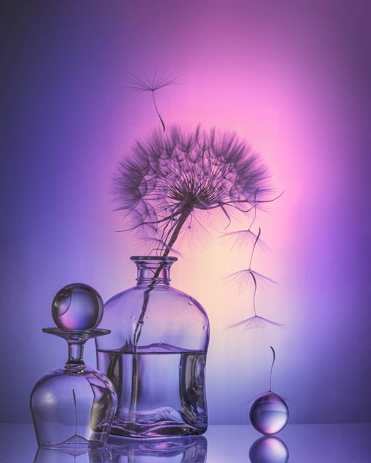 , Солодар Виктория