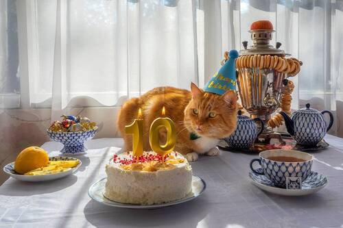 Филя отметил юбилей - 10 лет!