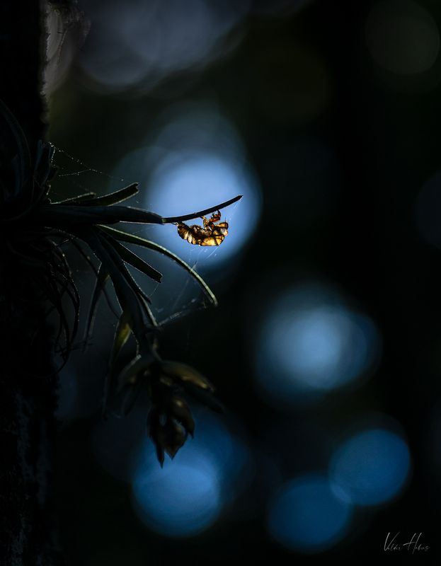 Last day of summer фото превью