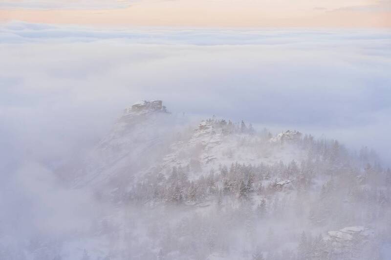 алтайский край, вблизи села саввушки  фото превью