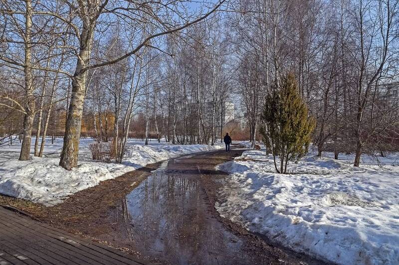 Весна в парке фото превью