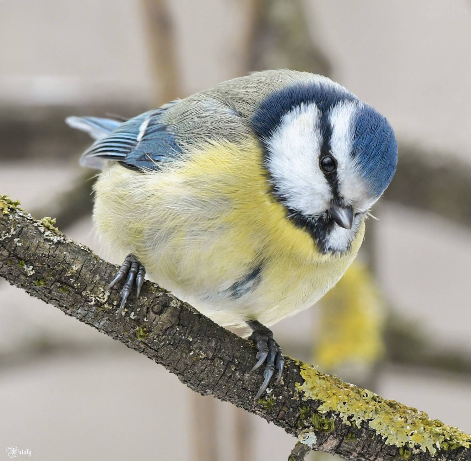 , Наталья Екимова