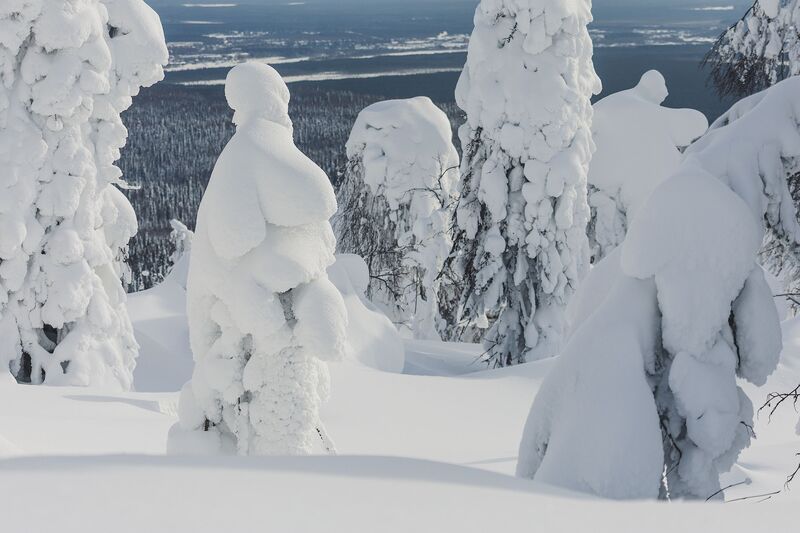 Урал, Полюд, Зима Встреча с зимней мечтой: заснеженный Полюд фото превью