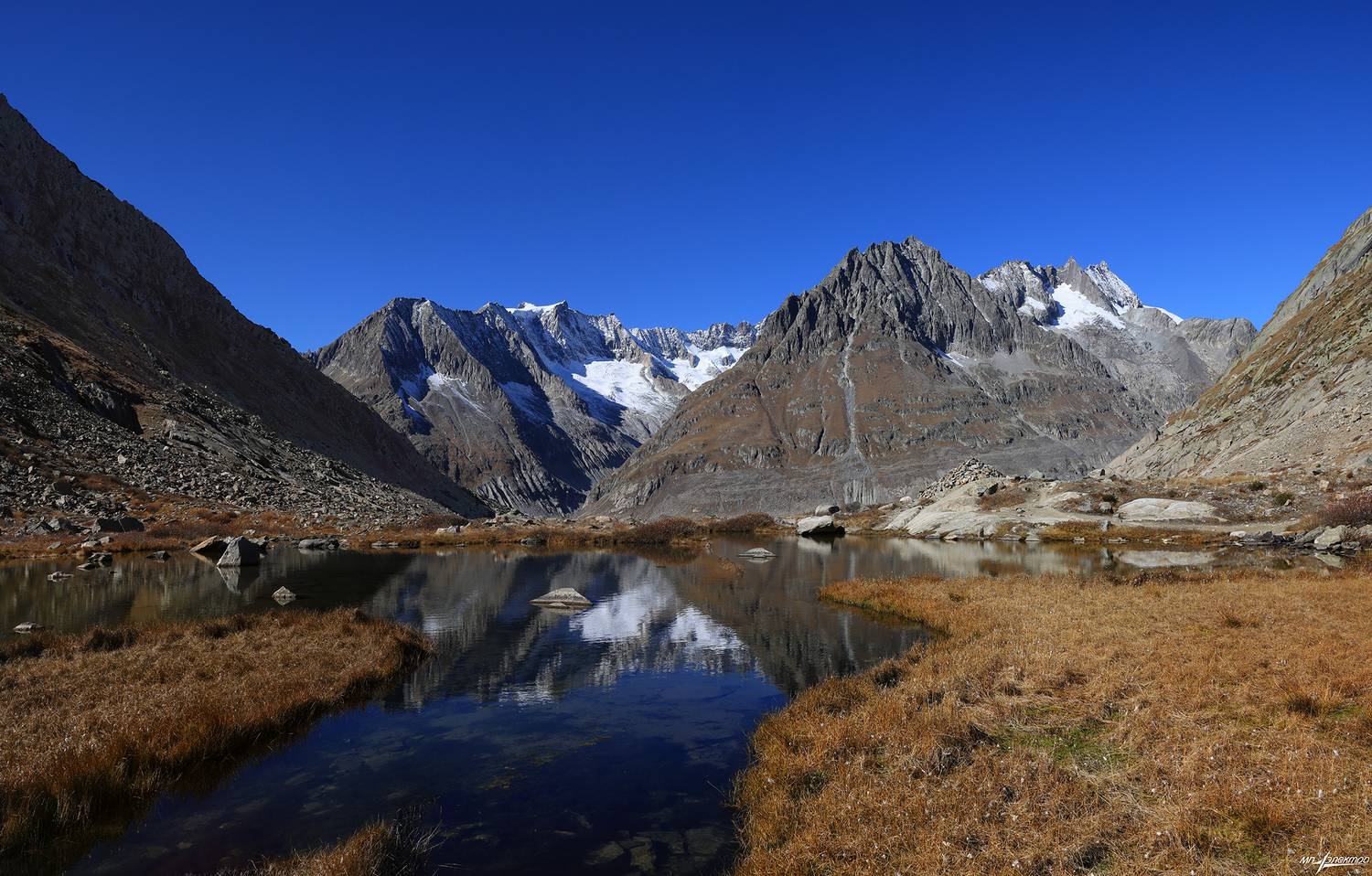 swiss, Матвеев Николай
