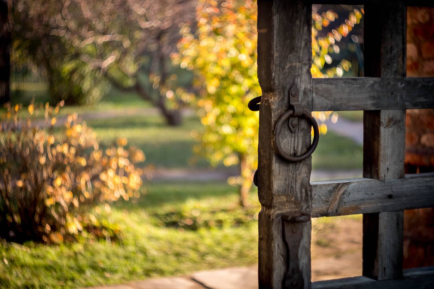 , Олегович Сергей